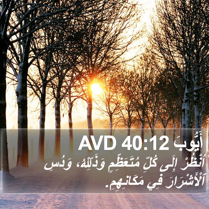 أَيُّوبَ 40:12 AVD Bible Study