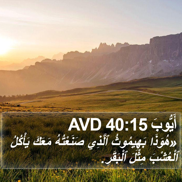 أَيُّوبَ 40:15 AVD Bible Study