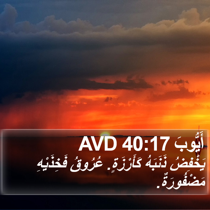 أَيُّوبَ 40:17 AVD Bible Study