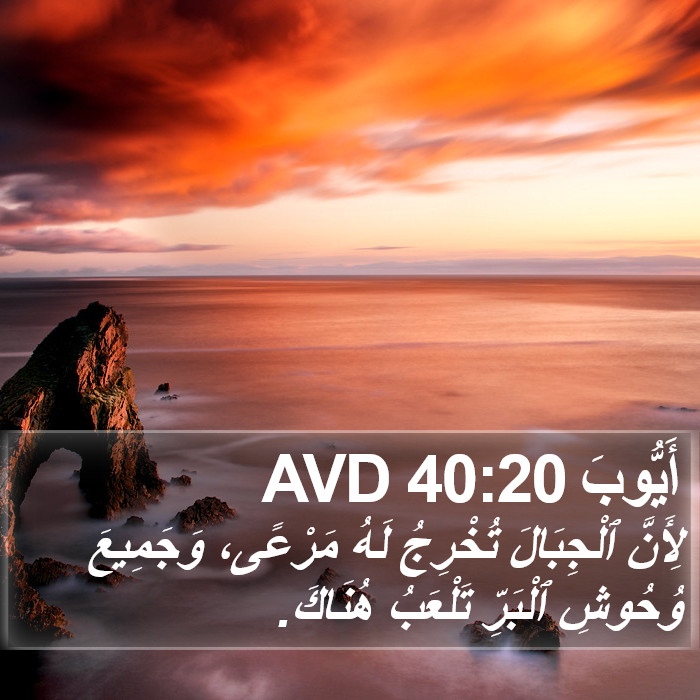 أَيُّوبَ 40:20 AVD Bible Study