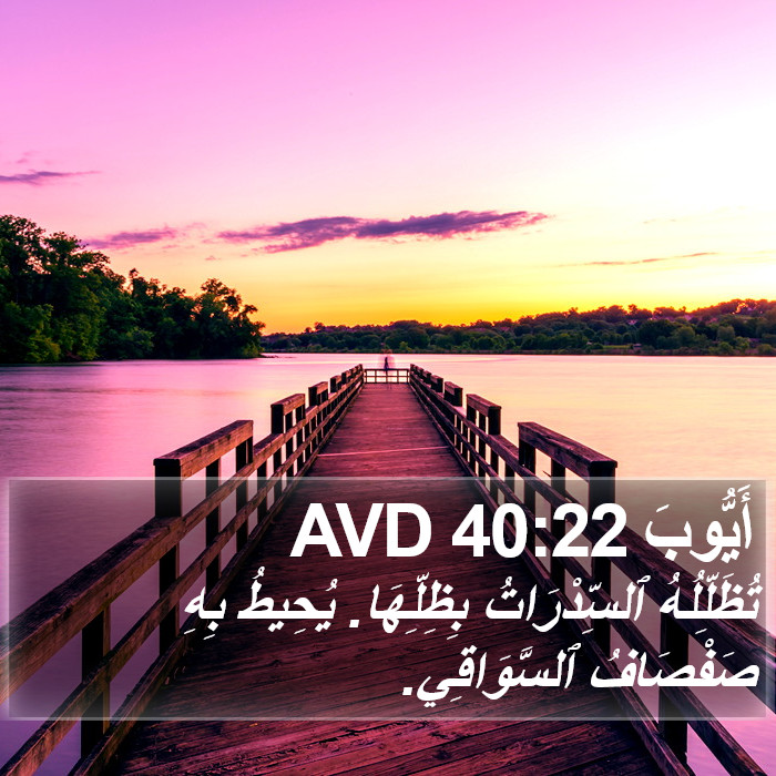 أَيُّوبَ 40:22 AVD Bible Study