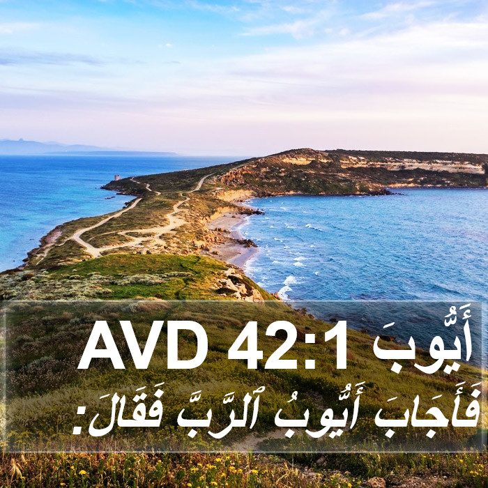 أَيُّوبَ 42:1 AVD Bible Study