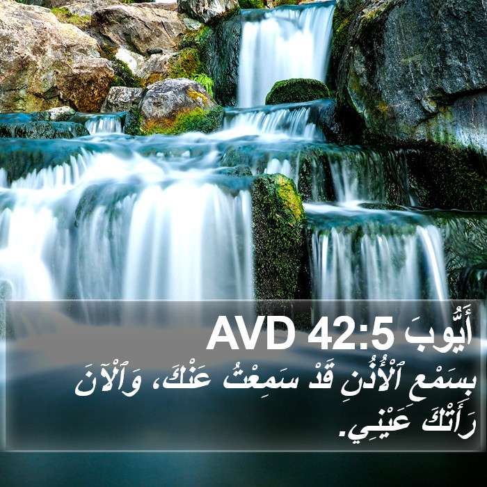 أَيُّوبَ 42:5 AVD Bible Study