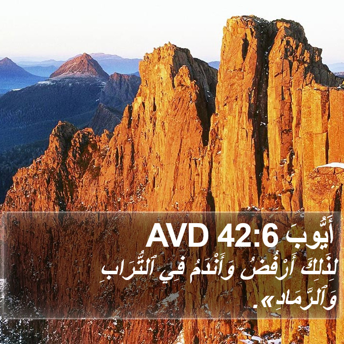 أَيُّوبَ 42:6 AVD Bible Study