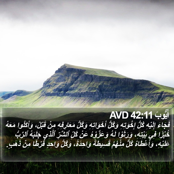 أَيُّوبَ 42:11 AVD Bible Study