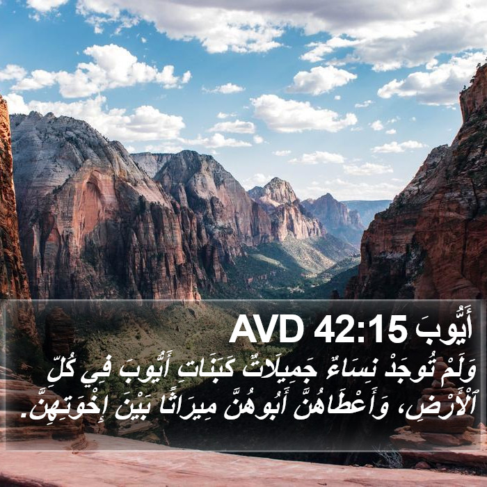 أَيُّوبَ 42:15 AVD Bible Study