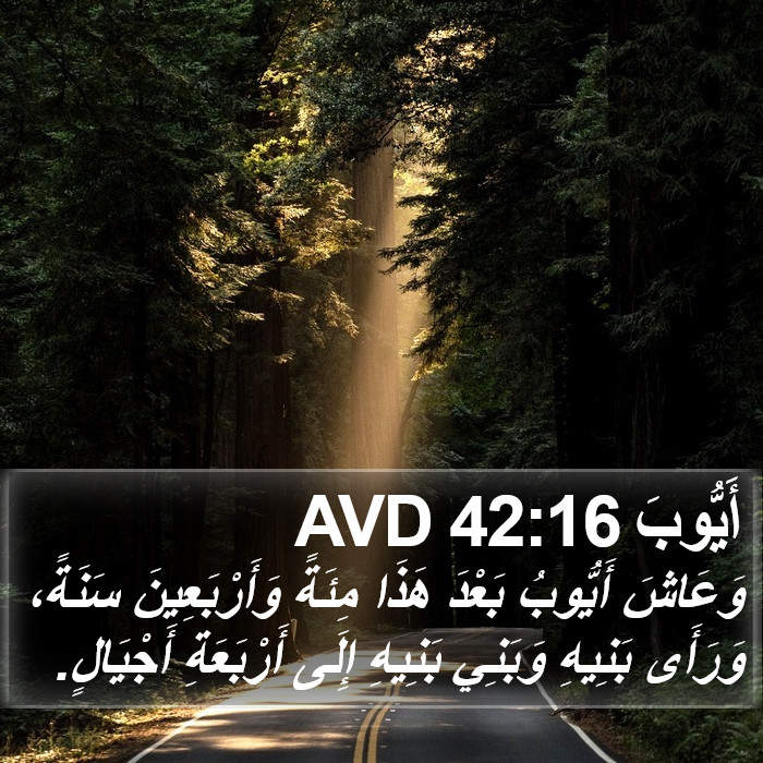 أَيُّوبَ 42:16 AVD Bible Study