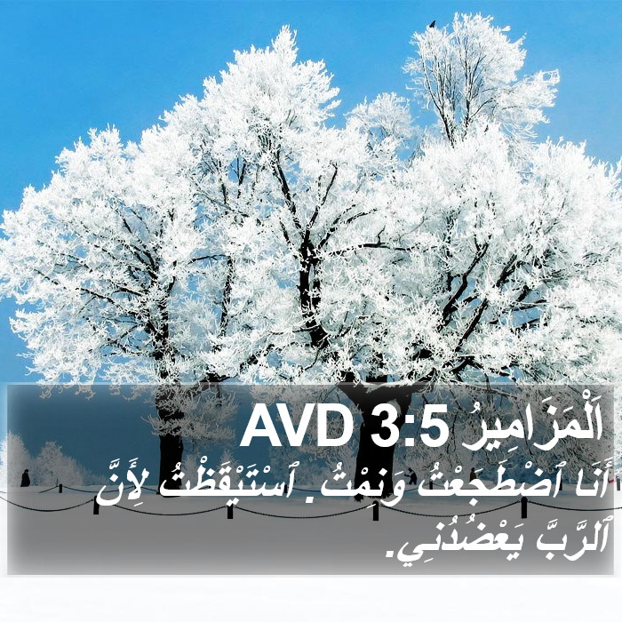 اَلْمَزَامِيرُ 3:5 AVD Bible Study