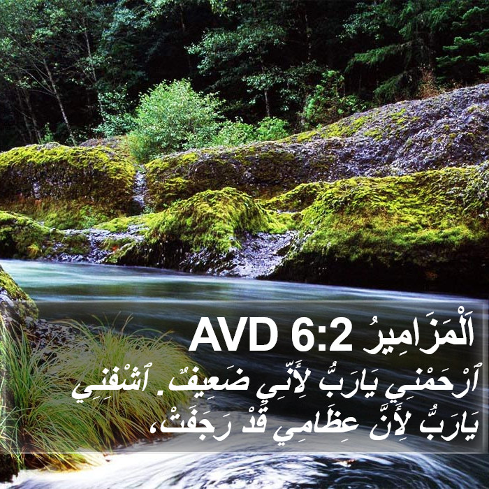 اَلْمَزَامِيرُ 6:2 AVD Bible Study