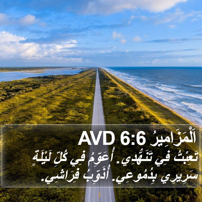 اَلْمَزَامِيرُ 6:6 AVD Bible Study