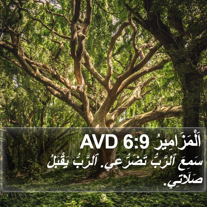 اَلْمَزَامِيرُ 6:9 AVD Bible Study