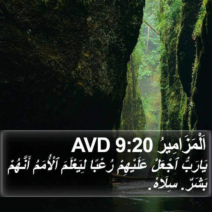 اَلْمَزَامِيرُ 9:20 AVD Bible Study