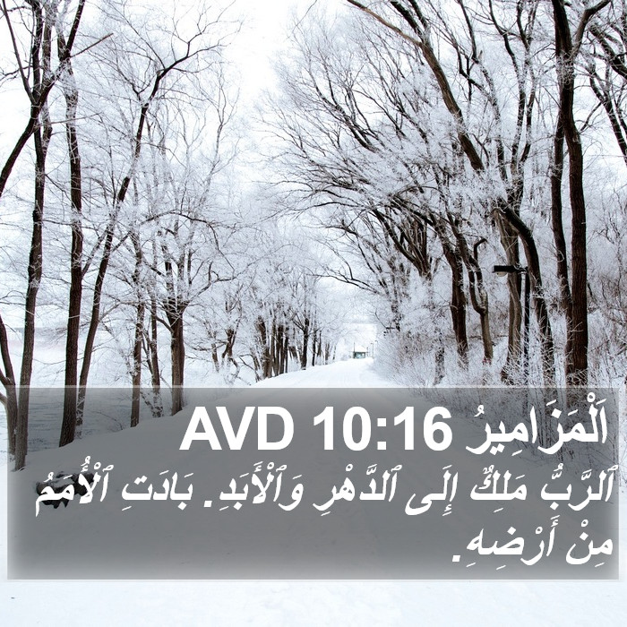 اَلْمَزَامِيرُ 10:16 AVD Bible Study