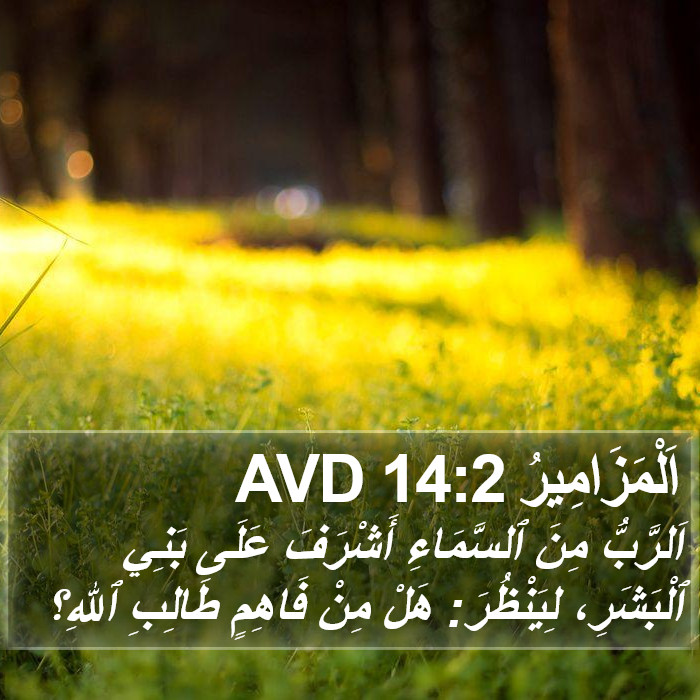 اَلْمَزَامِيرُ 14:2 AVD Bible Study