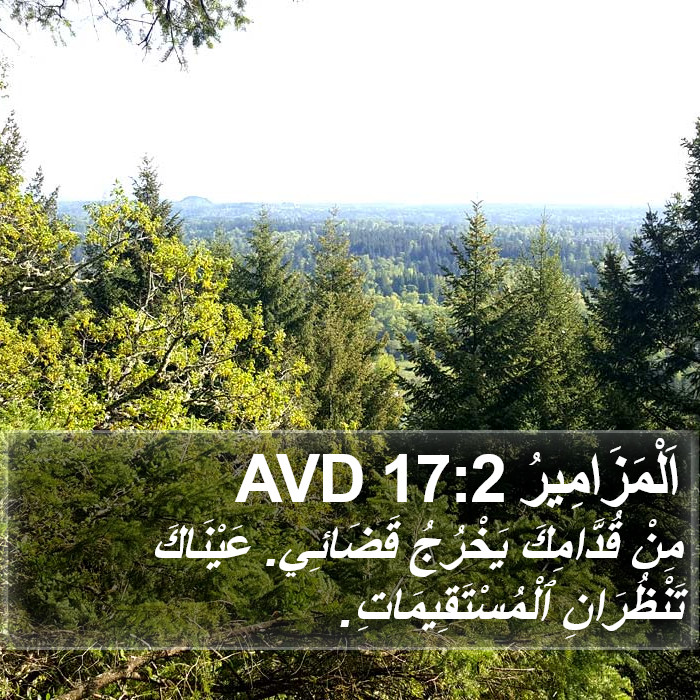 اَلْمَزَامِيرُ 17:2 AVD Bible Study