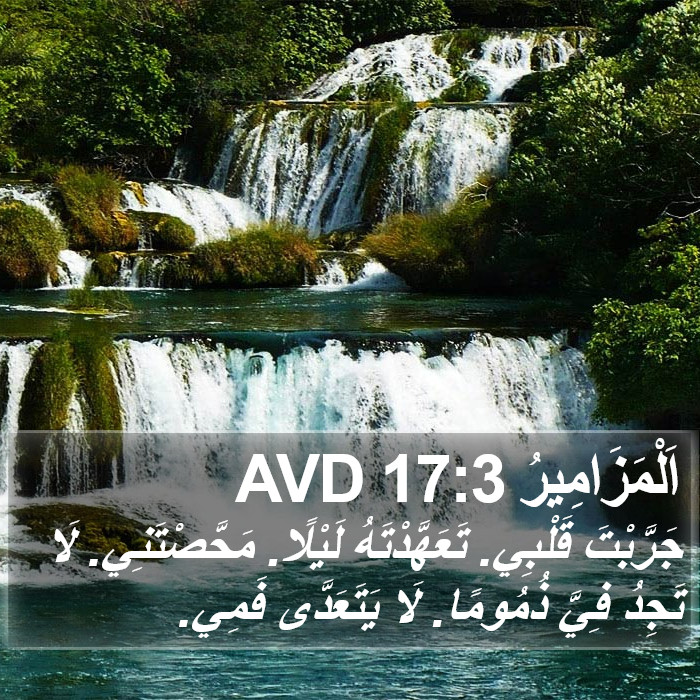 اَلْمَزَامِيرُ 17:3 AVD Bible Study