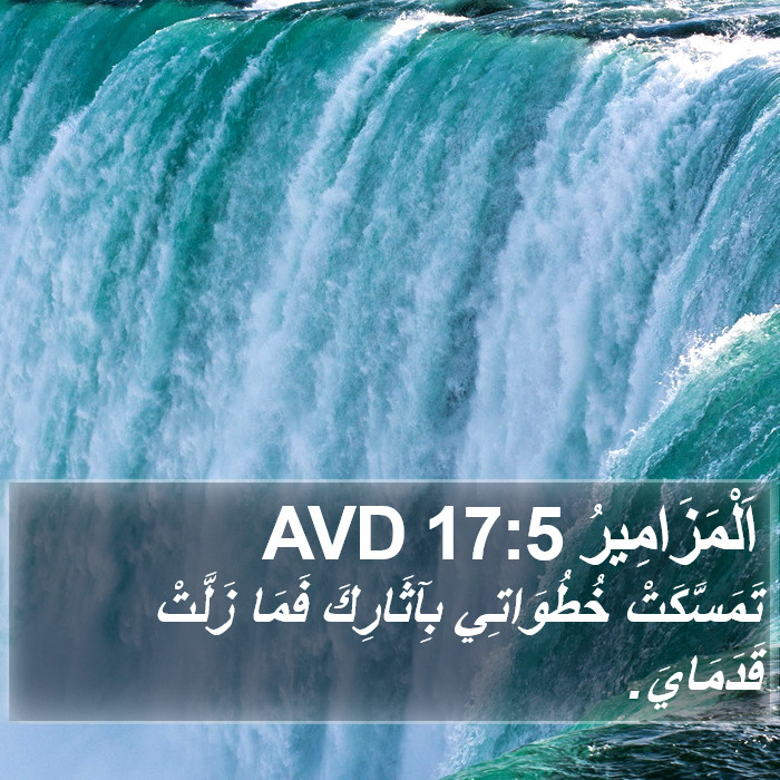 اَلْمَزَامِيرُ 17:5 AVD Bible Study