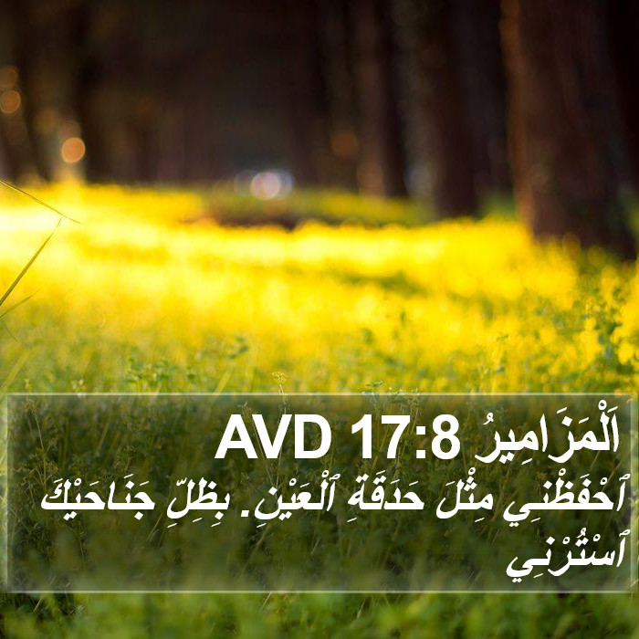 اَلْمَزَامِيرُ 17:8 AVD Bible Study