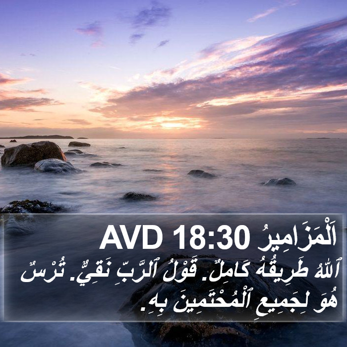 اَلْمَزَامِيرُ 18:30 AVD Bible Study
