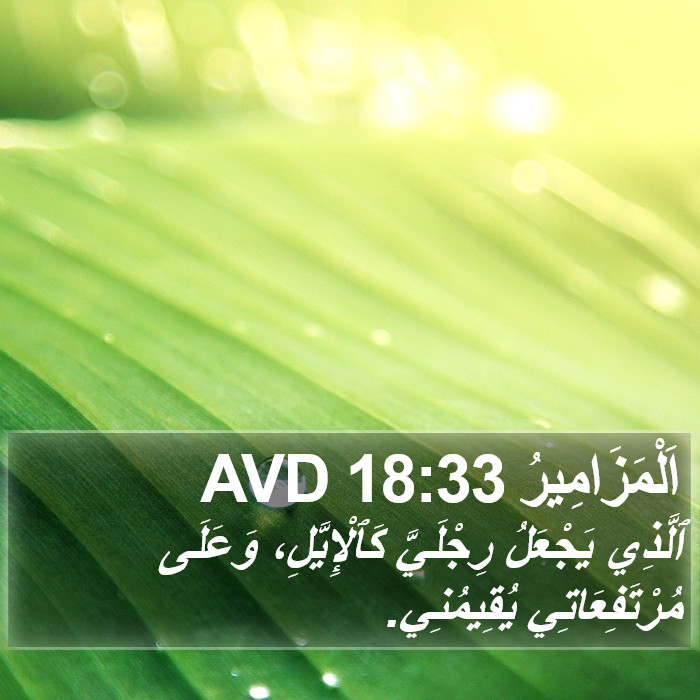اَلْمَزَامِيرُ 18:33 AVD Bible Study