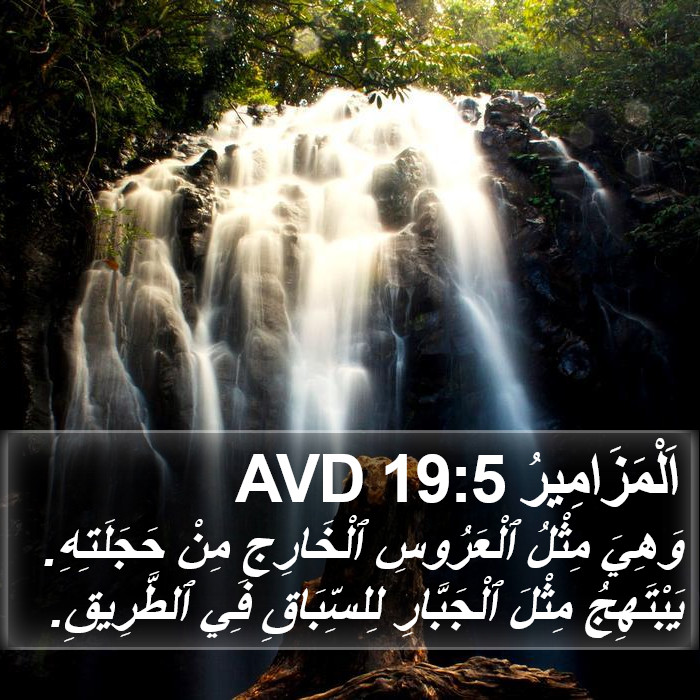 اَلْمَزَامِيرُ 19:5 AVD Bible Study