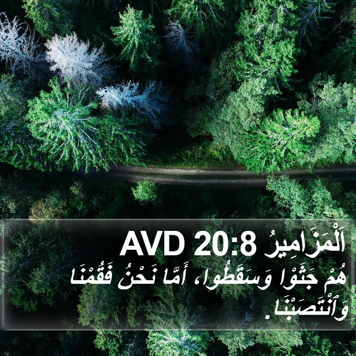 اَلْمَزَامِيرُ 20:8 AVD Bible Study