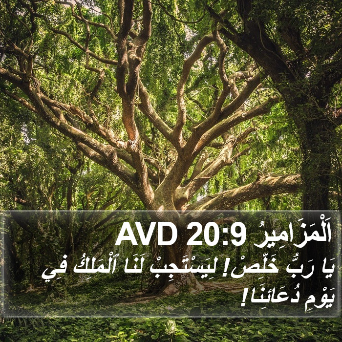 اَلْمَزَامِيرُ 20:9 AVD Bible Study