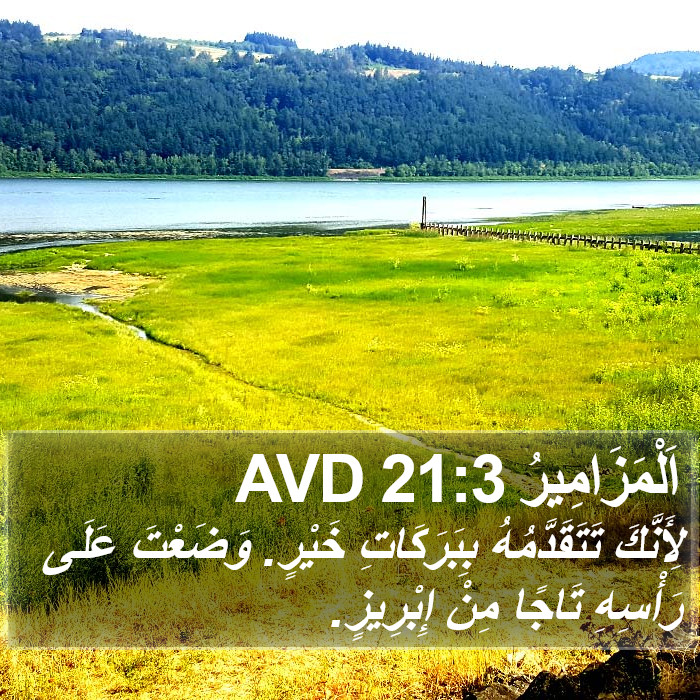 اَلْمَزَامِيرُ 21:3 AVD Bible Study