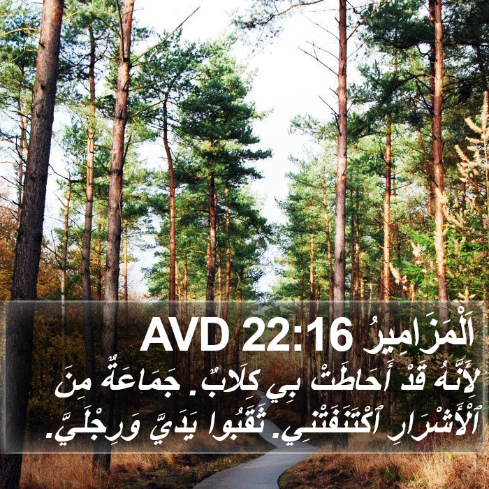 اَلْمَزَامِيرُ 22:16 AVD Bible Study