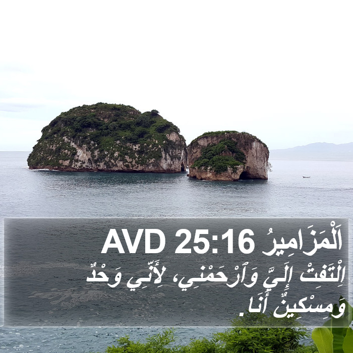 اَلْمَزَامِيرُ 25:16 AVD Bible Study