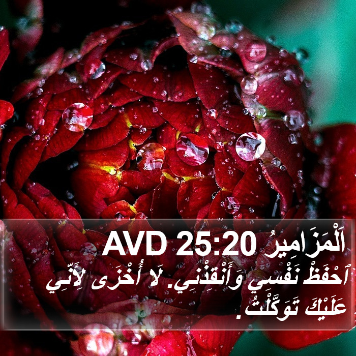 اَلْمَزَامِيرُ 25:20 AVD Bible Study