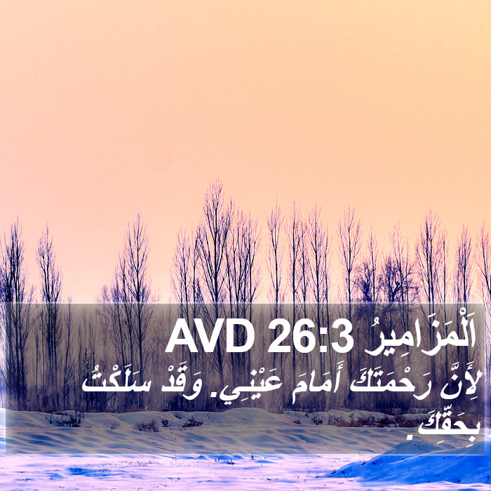 اَلْمَزَامِيرُ 26:3 AVD Bible Study