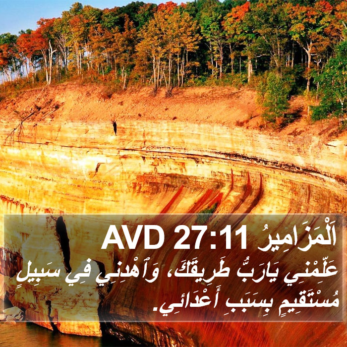 اَلْمَزَامِيرُ 27:11 AVD Bible Study