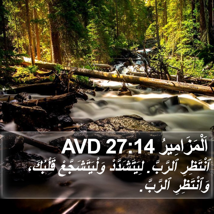 اَلْمَزَامِيرُ 27:14 AVD Bible Study