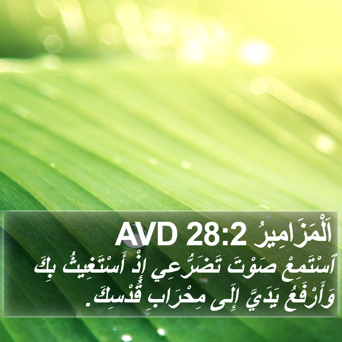 اَلْمَزَامِيرُ 28:2 AVD Bible Study