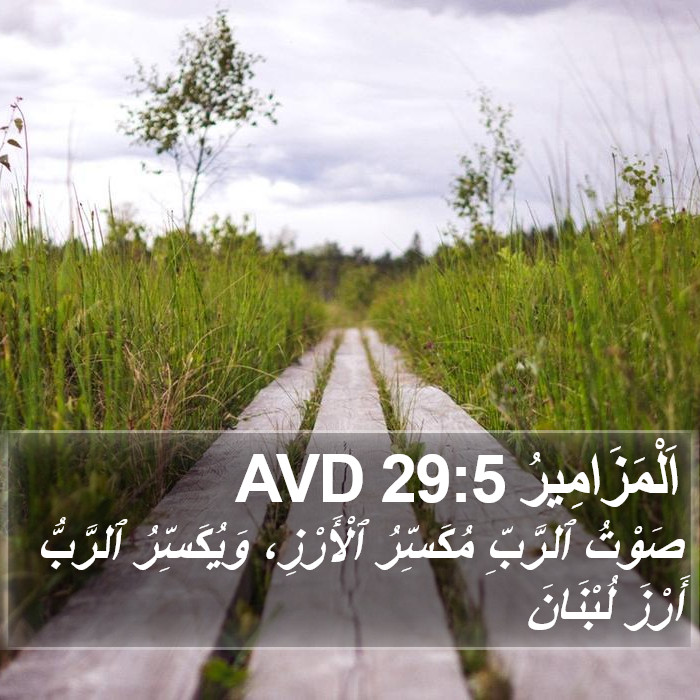 اَلْمَزَامِيرُ 29:5 AVD Bible Study