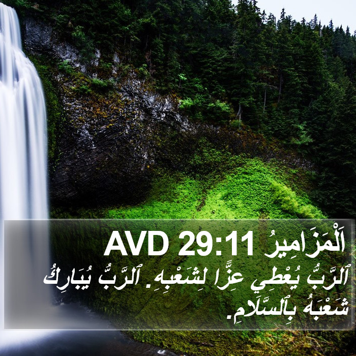 اَلْمَزَامِيرُ 29:11 AVD Bible Study