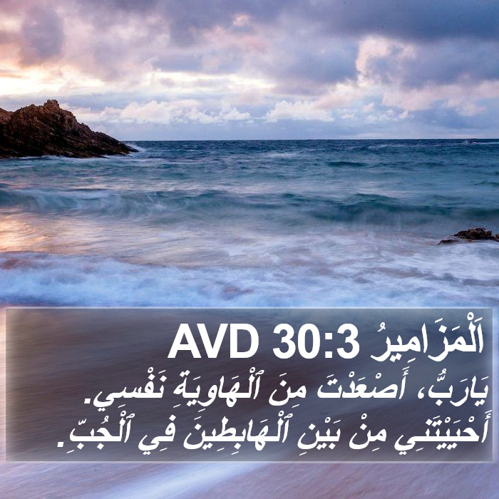 اَلْمَزَامِيرُ 30:3 AVD Bible Study