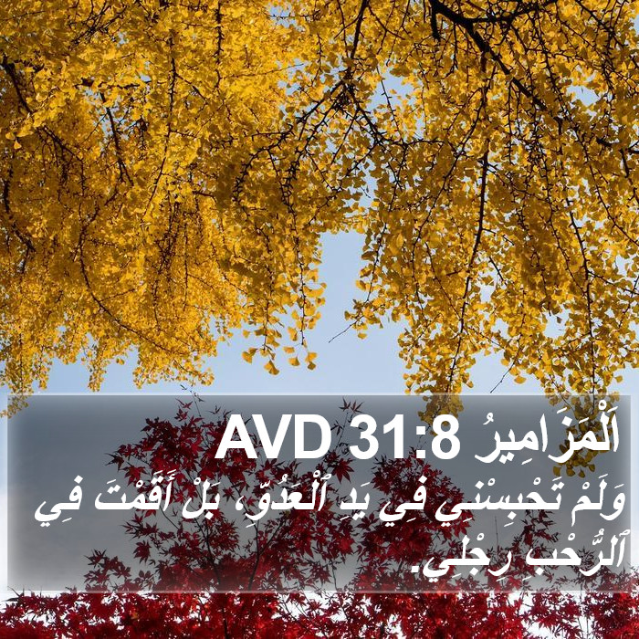 اَلْمَزَامِيرُ 31:8 AVD Bible Study