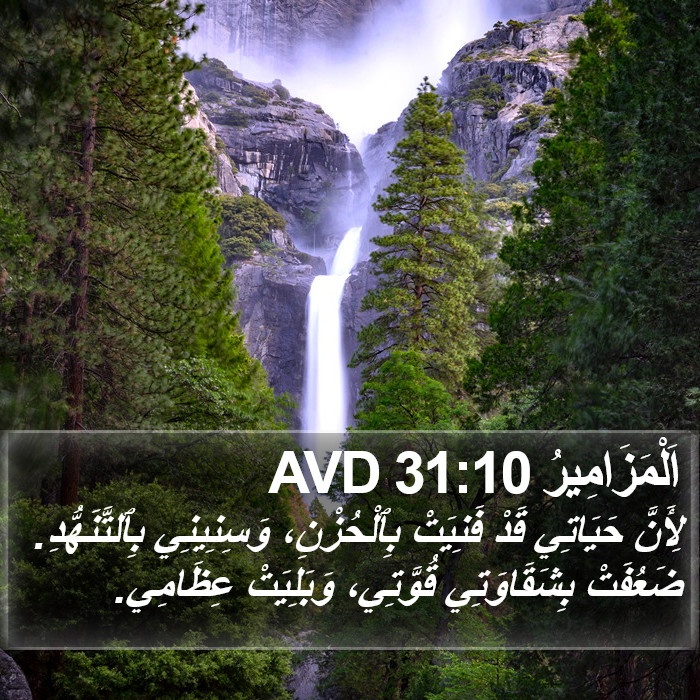 اَلْمَزَامِيرُ 31:10 AVD Bible Study