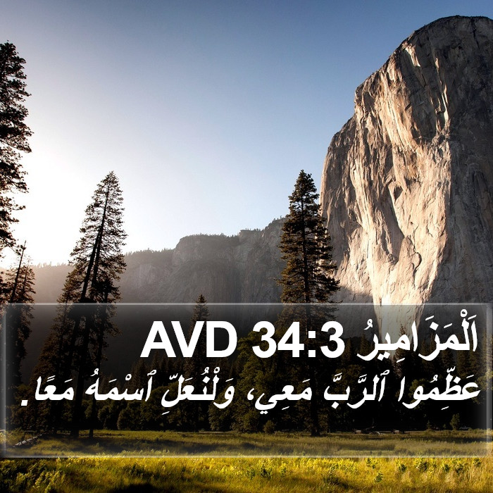 اَلْمَزَامِيرُ 34:3 AVD Bible Study