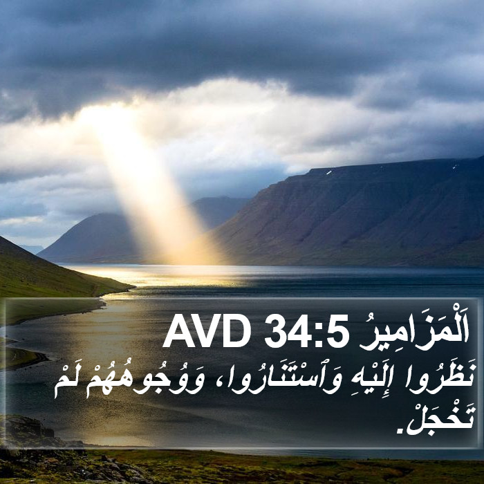 اَلْمَزَامِيرُ 34:5 AVD Bible Study