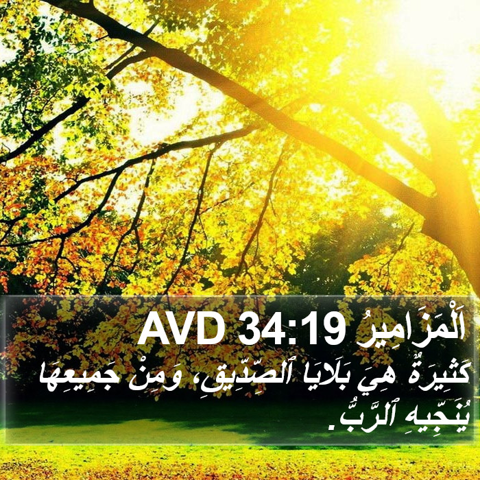 اَلْمَزَامِيرُ 34:19 AVD Bible Study