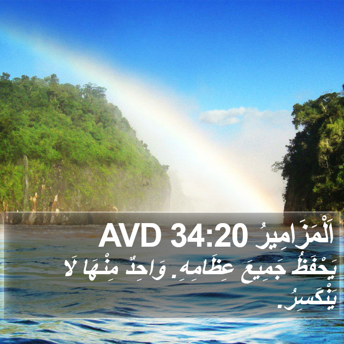 اَلْمَزَامِيرُ 34:20 AVD Bible Study