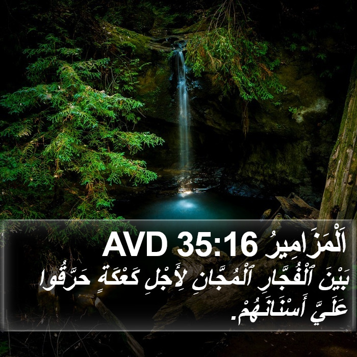 اَلْمَزَامِيرُ 35:16 AVD Bible Study
