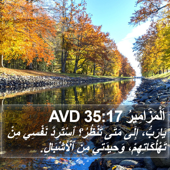 اَلْمَزَامِيرُ 35:17 AVD Bible Study