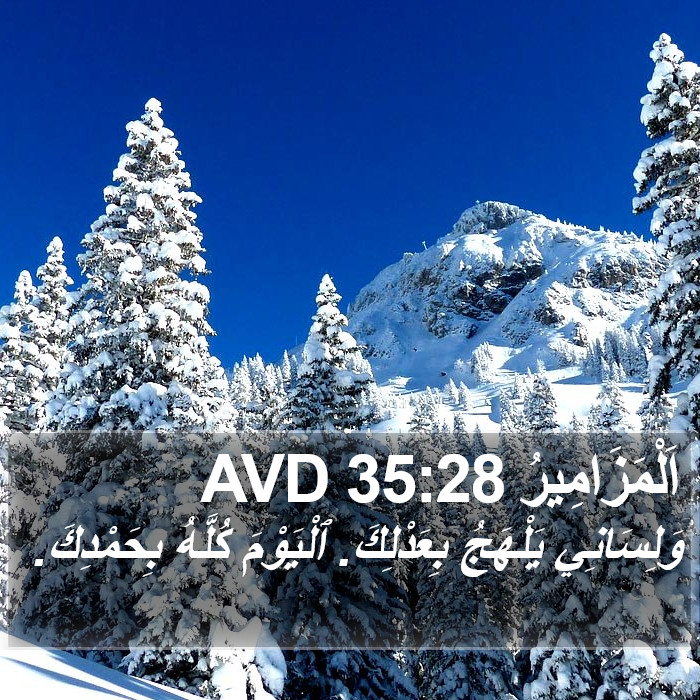 اَلْمَزَامِيرُ 35:28 AVD Bible Study