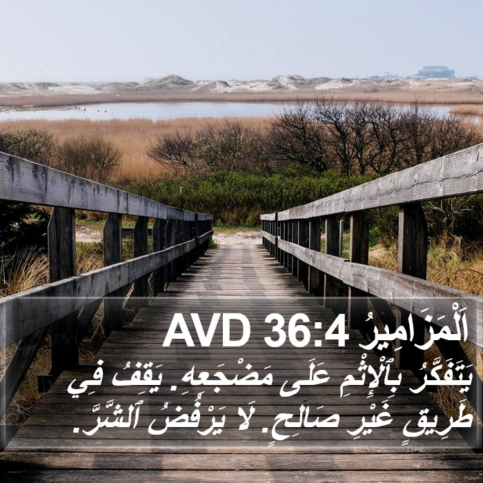 اَلْمَزَامِيرُ 36:4 AVD Bible Study