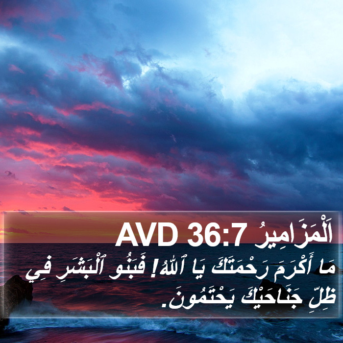 اَلْمَزَامِيرُ 36:7 AVD Bible Study