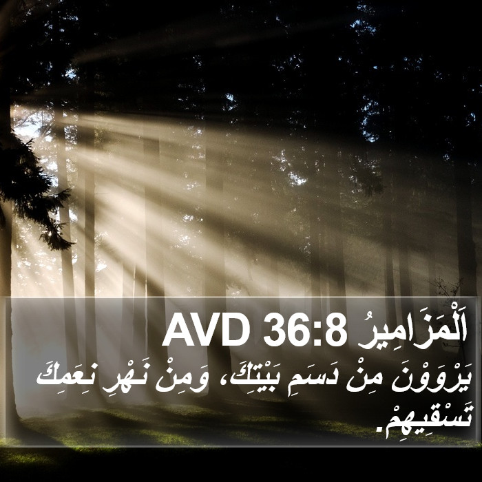 اَلْمَزَامِيرُ 36:8 AVD Bible Study